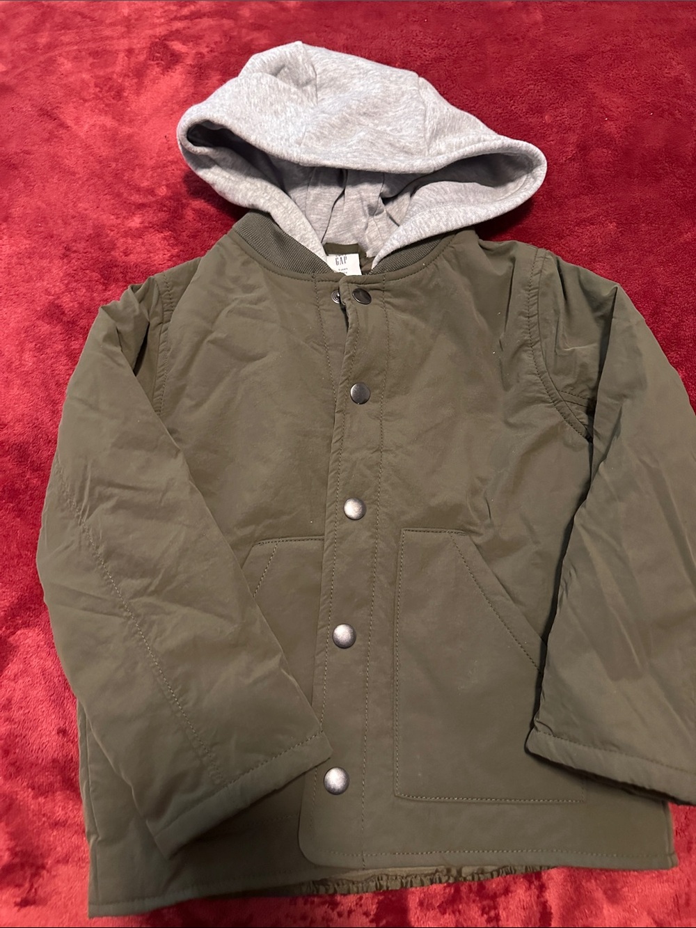 GAP Olive Green Jacket with Gray Hood